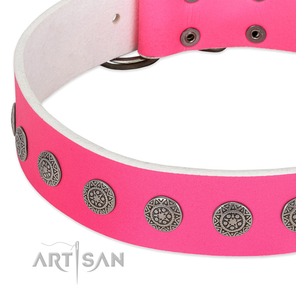 Extraordinary full grain leather collar with studs for your four-legged friend