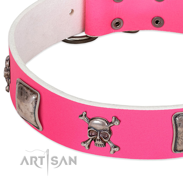 Rust resistant buckle on genuine leather dog collar