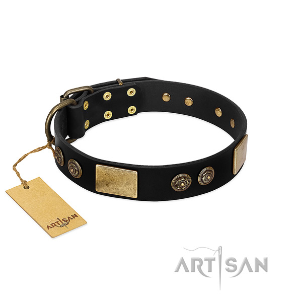 Corrosion proof hardware on full grain genuine leather dog collar for your pet