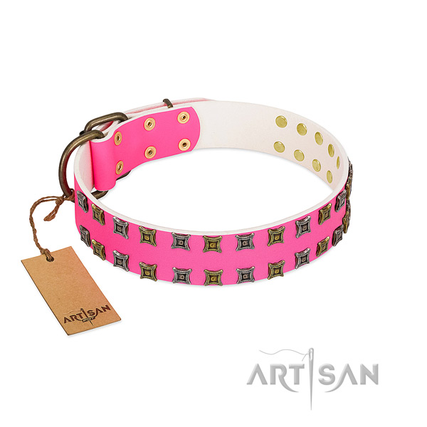 Natural leather collar with exquisite embellishments for your pet