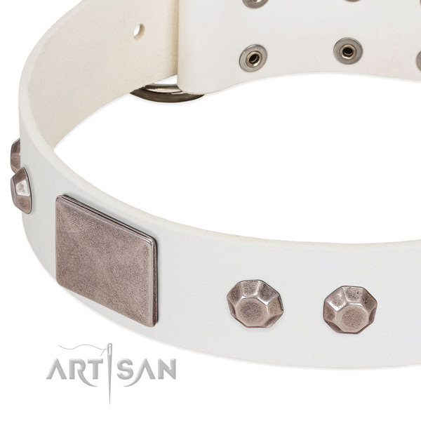 Daily use high quality leather dog collar with embellishments