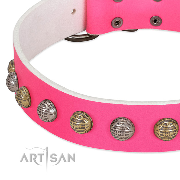Rust resistant hardware on full grain leather collar for basic training your pet