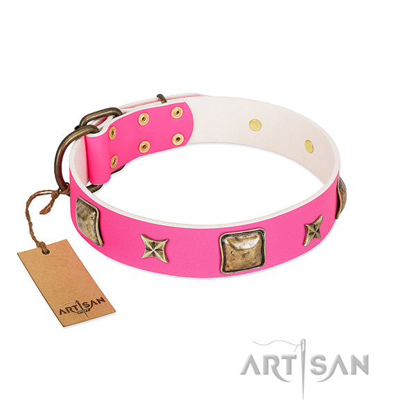 Genuine leather dog collar of flexible material with extraordinary embellishments