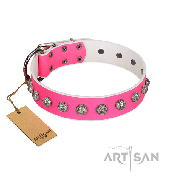 Full grain natural leather collar with stylish adornments for your canine