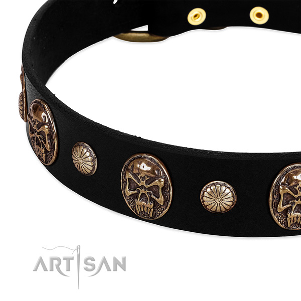 Leather dog collar with unusual decorations