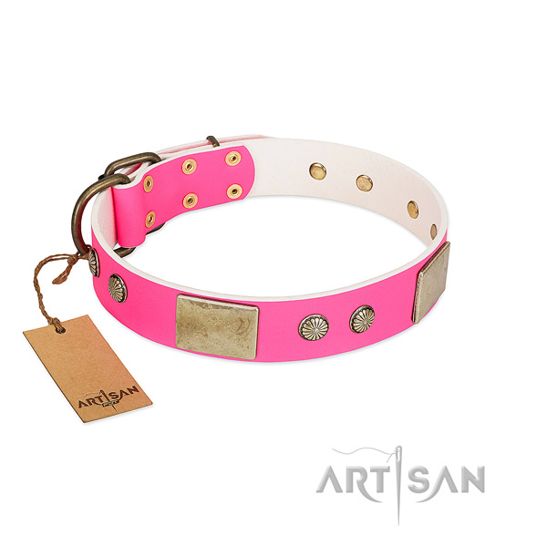 Easy wearing full grain leather dog collar for stylish walking your doggie