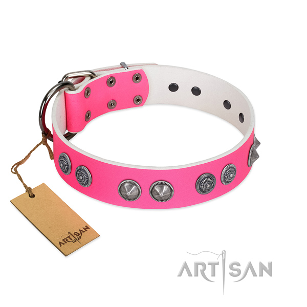 Unusual leather dog collar with durable hardware