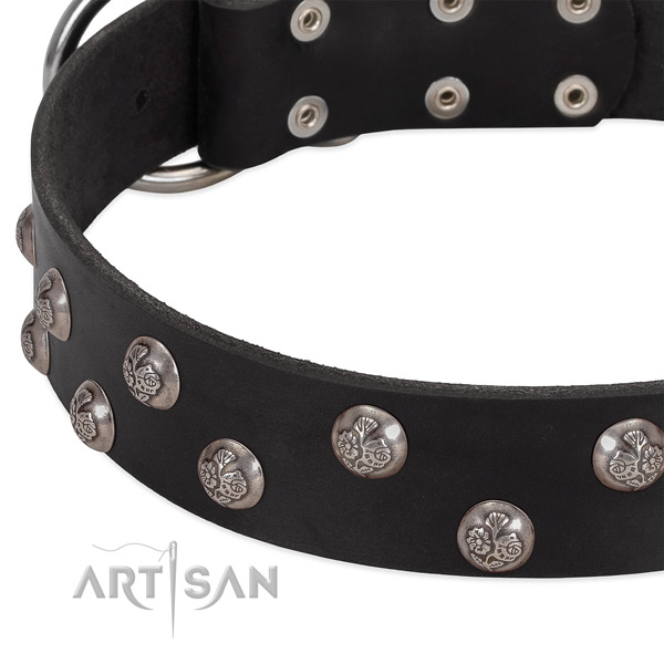 Full grain natural leather dog collar with rust-proof traditional buckle and studs