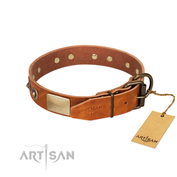 Reliable buckle on walking dog collar