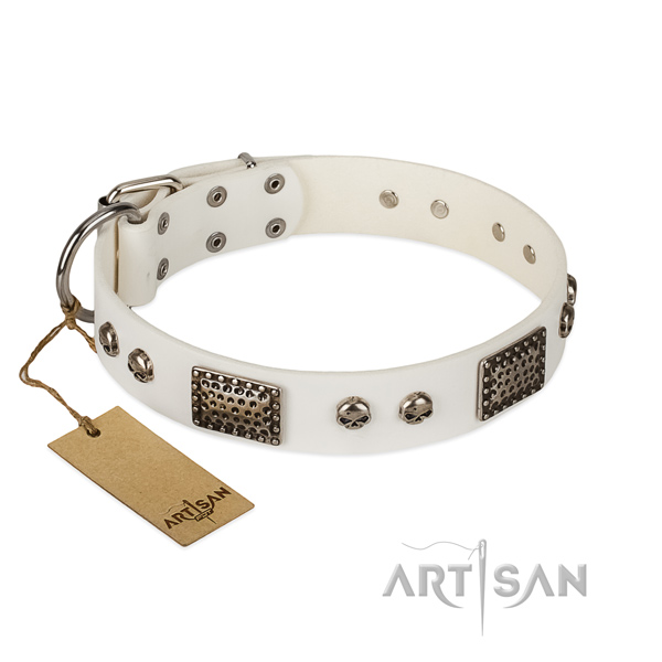 Easy to adjust leather dog collar for walking your dog