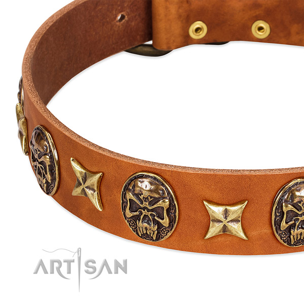 Rust-proof studs on full grain genuine leather dog collar for your doggie
