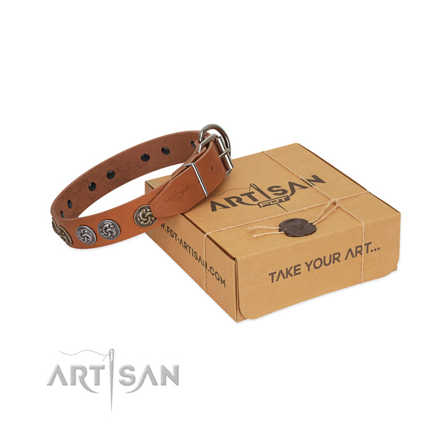 Full grain leather collar with unique decorations for your canine