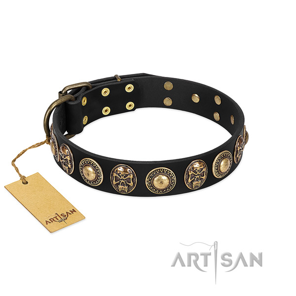 Adjustable full grain natural leather dog collar for stylish walking your doggie