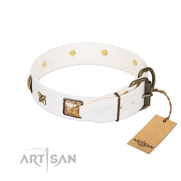 Leather dog collar with corrosion resistant fittings and embellishments