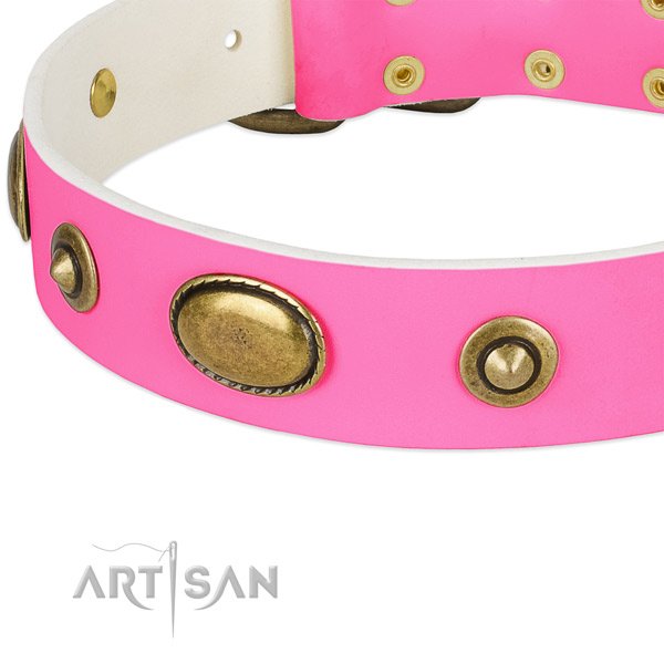 Rust resistant embellishments on full grain genuine leather dog collar for your four-legged friend