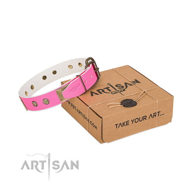 Strong fittings on dog collar for everyday walking