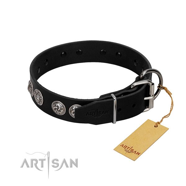 Trendy full grain genuine leather collar for your dog daily walking