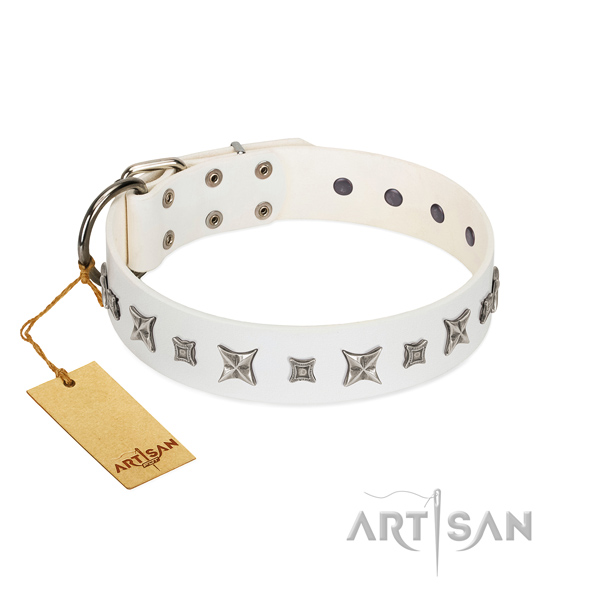 High quality full grain genuine leather dog collar with stylish design studs