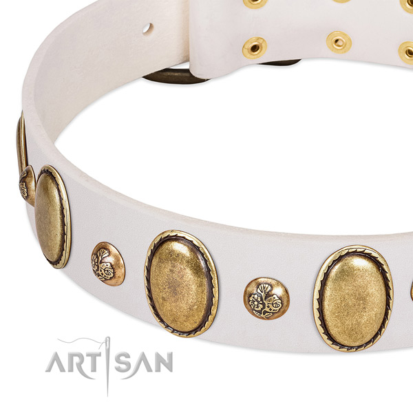 Full grain leather dog collar with extraordinary adornments