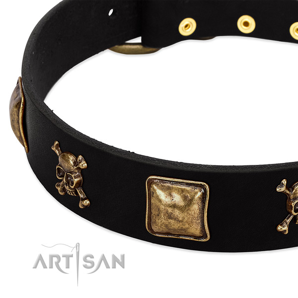 Top rate full grain natural leather collar with studs for your doggie