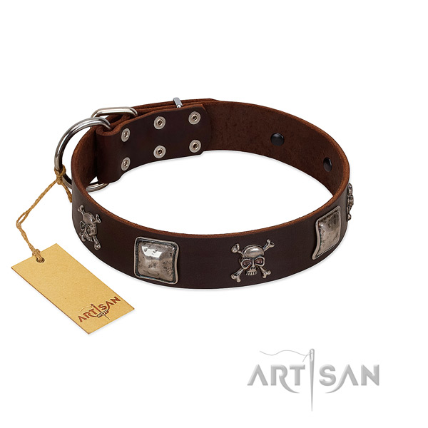 Stylish studded full grain leather dog collar