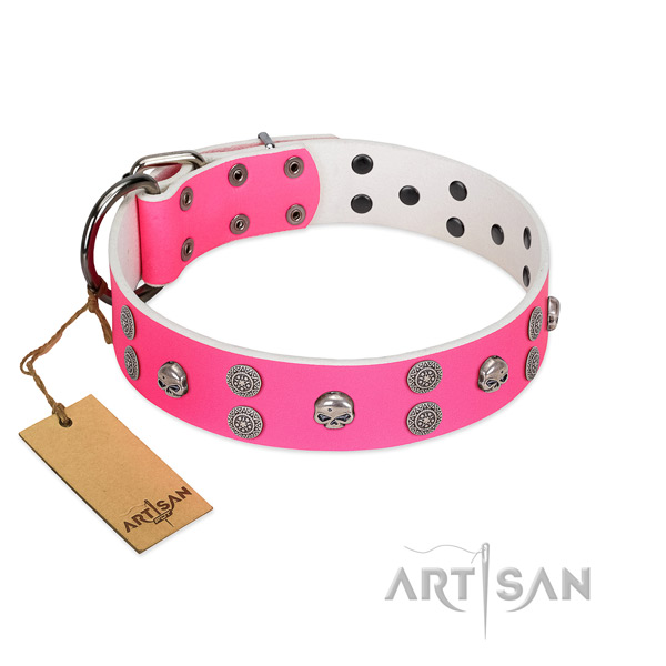 Walking full grain natural leather dog collar with unique studs