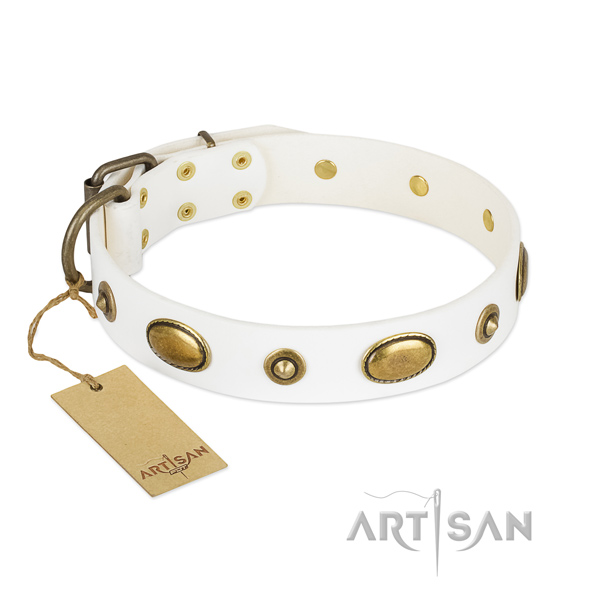 Extraordinary leather collar for your dog