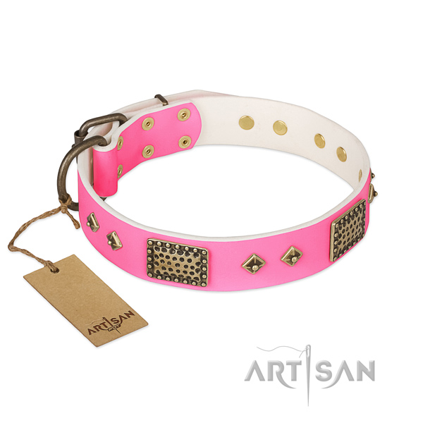 Easy to adjust genuine leather dog collar for stylish walking your doggie