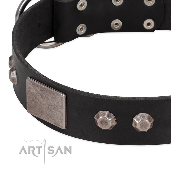 Easy wearing best quality full grain natural leather dog collar