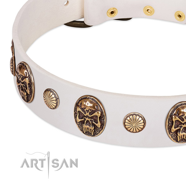 Rust resistant studs on genuine leather dog collar for your doggie