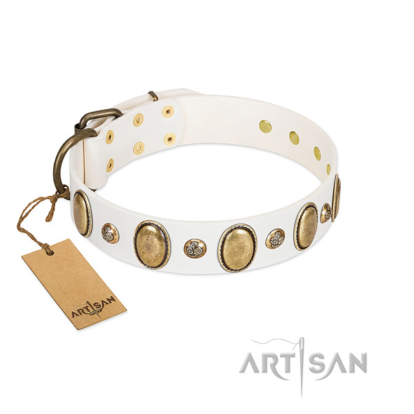 Leather dog collar of soft material with unique embellishments