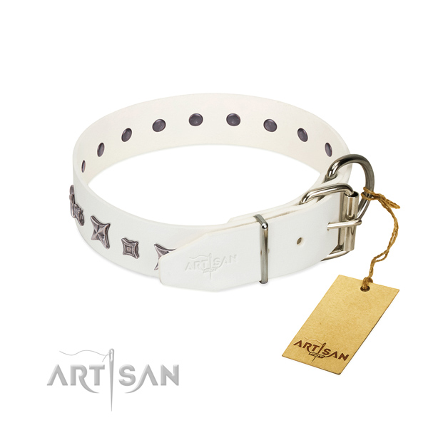 Natural leather dog collar with unique adornments handcrafted canine