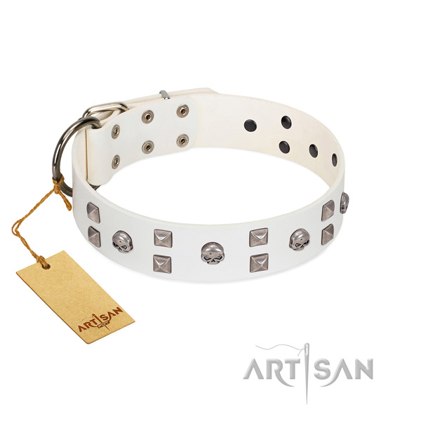 Daily use dog collar of genuine leather with designer decorations