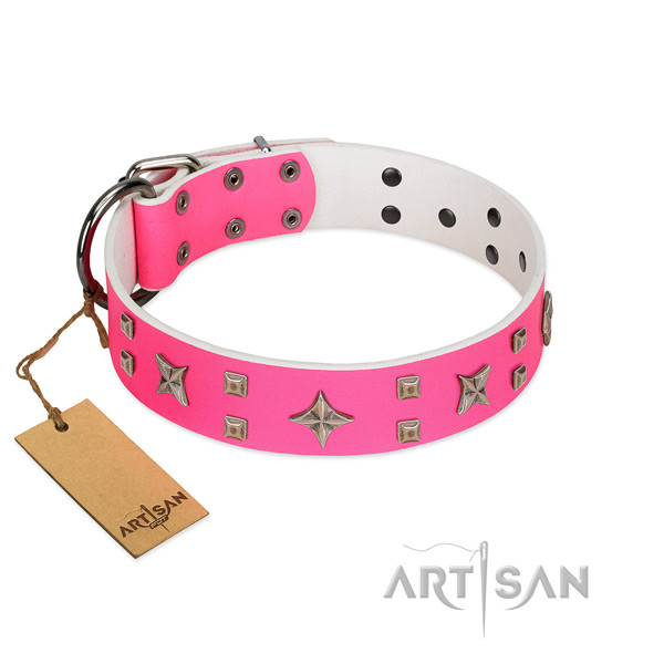Rust-proof decorations on genuine leather dog collar for your canine