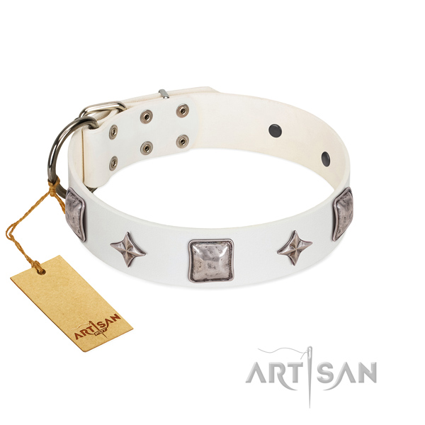 High quality natural leather dog collar with adornments for daily walking