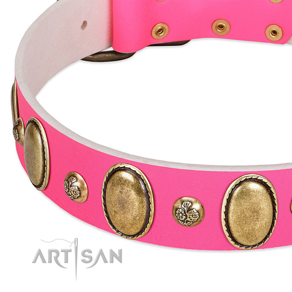 Leather dog collar with fashionable studs