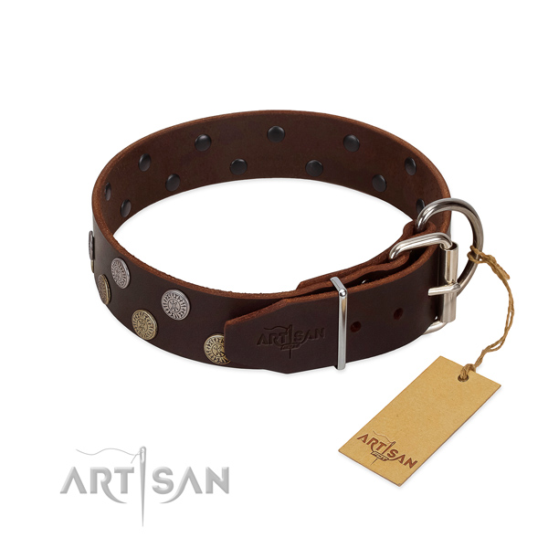 Significant collar of natural leather for your handsome four-legged friend