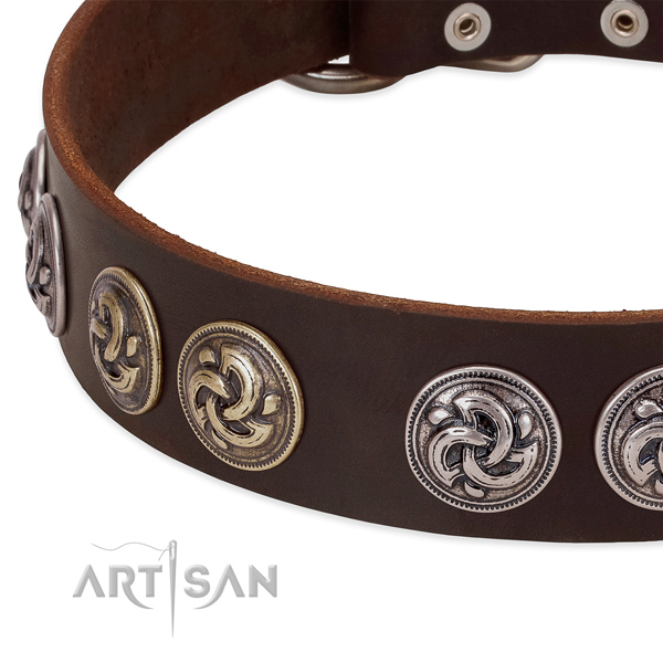 Exceptional full grain leather collar for your canine daily walking