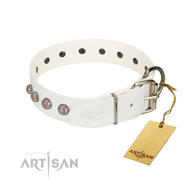 Leather dog collar of soft material with impressive adornments