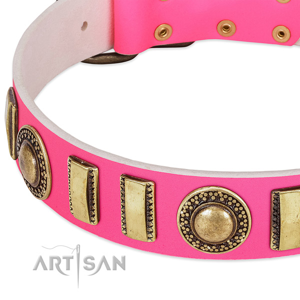 Top notch leather dog collar for your impressive four-legged friend