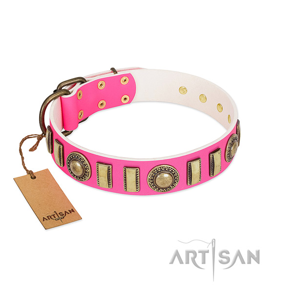 Impressive full grain natural leather dog collar with durable traditional buckle
