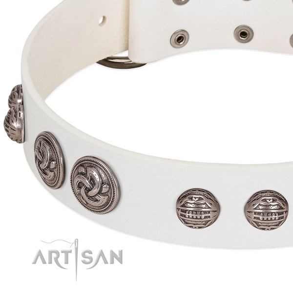 Strong D-ring on full grain genuine leather collar for stylish walking your doggie