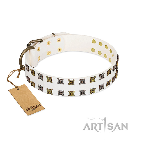 High quality full grain genuine leather dog collar with adornments for your doggie