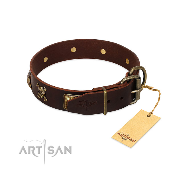 Quality natural leather dog collar with inimitable studs