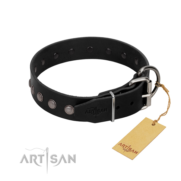 Unique full grain genuine leather dog collar with rust-proof embellishments