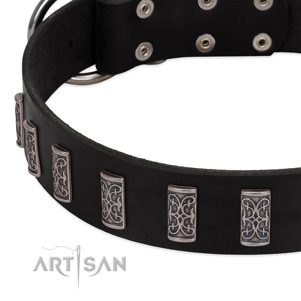 Inimitable genuine leather collar for your four-legged friend stylish walks