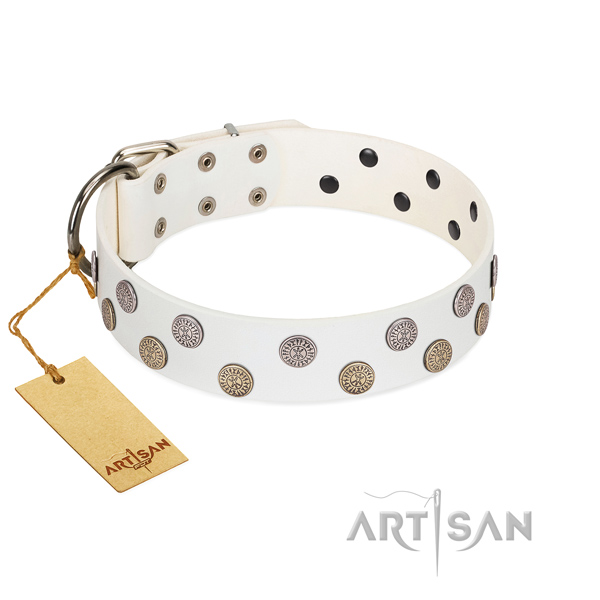 Natural leather dog collar with exceptional studs made canine