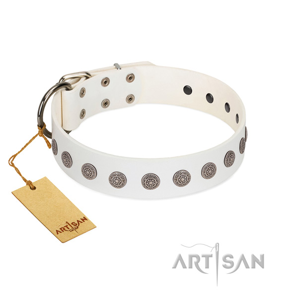 Amazing decorations on full grain leather collar for easy wearing your pet