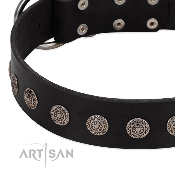 Top quality natural leather collar with studs for your dog