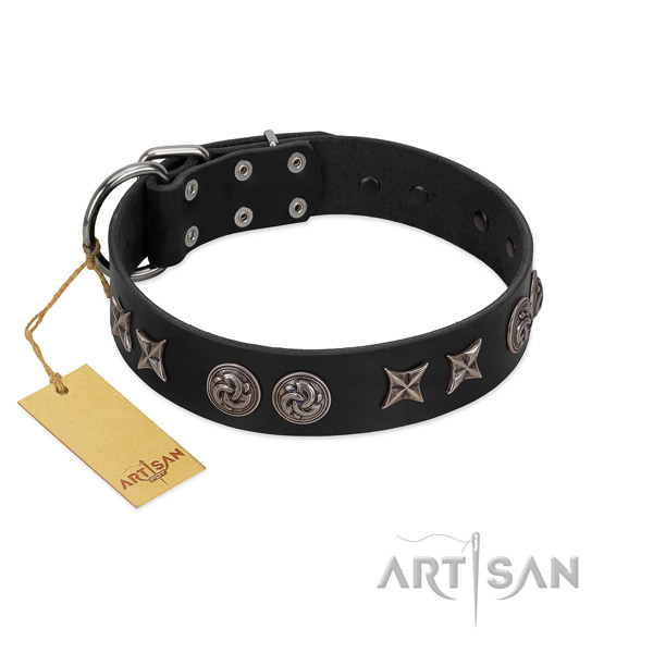 Exquisite full grain natural leather dog collar for stylish walking